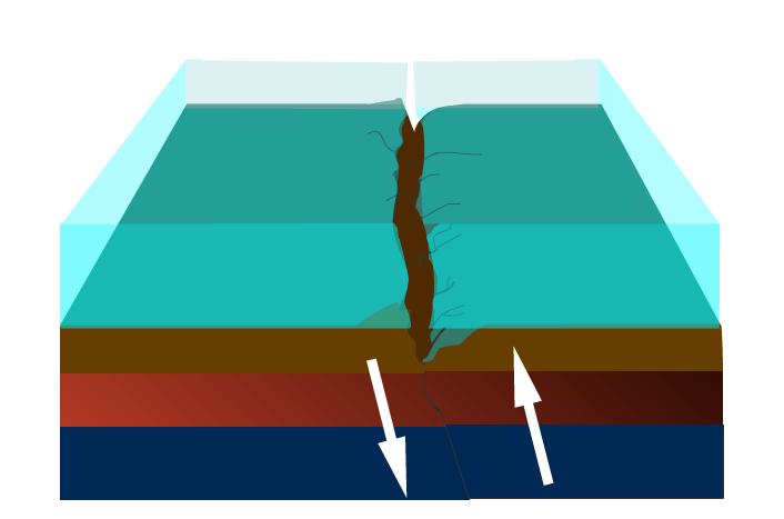 地殼垂直擾動會引發海水擾動