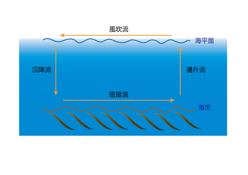 吹送流是屬於海洋表面的海流，而密度流是屬於海洋深層的海流，而補償流則是海流的上升與下降，流速與流向都較為一致