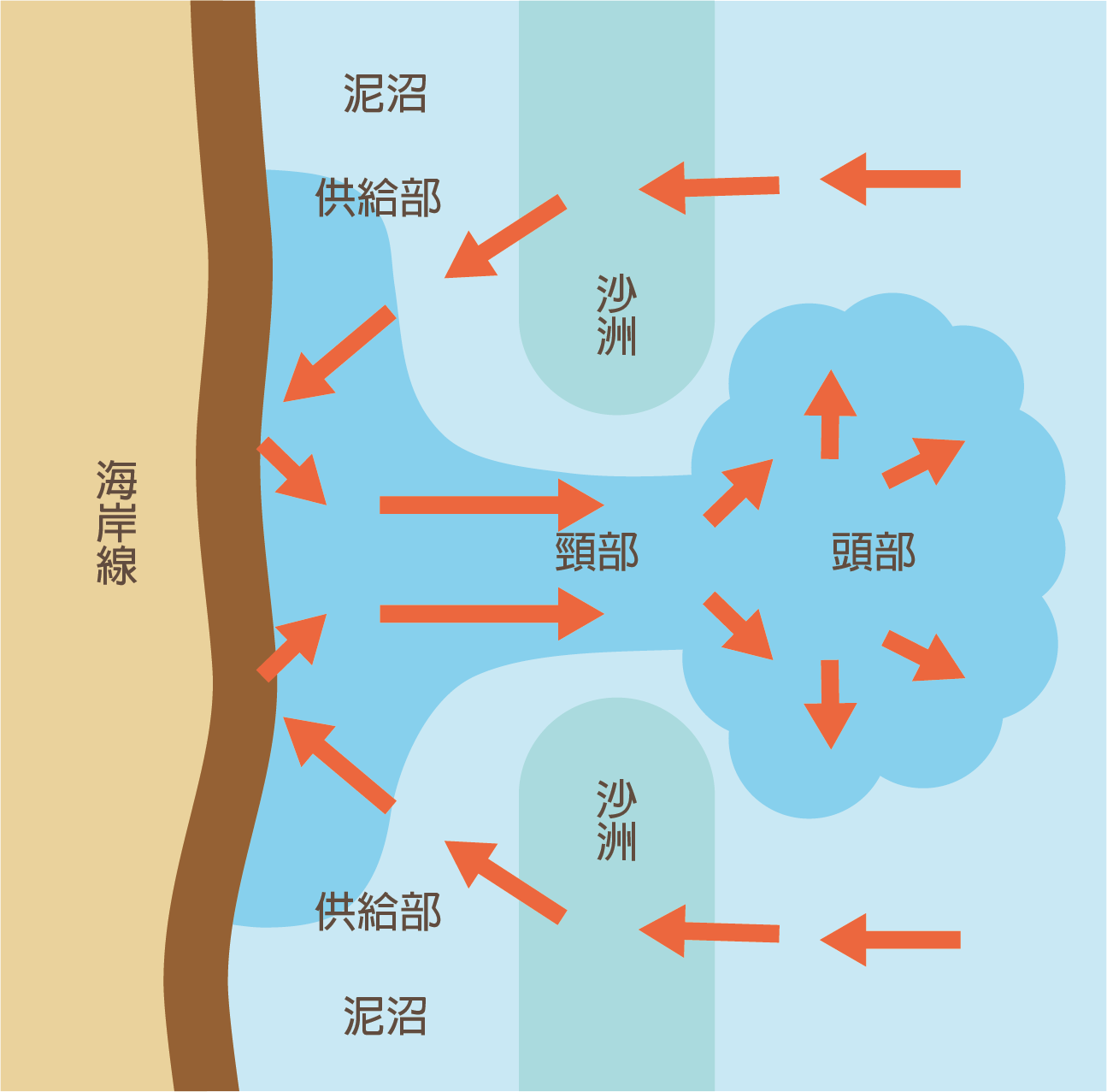 離岸流流速分佈呈現蕈狀，分為供給部、頸部、跟頭部。供給部提供離岸流水的來源；頸部的流幅狹窄且流速最快；頭部由於流域變開闊而流速減慢