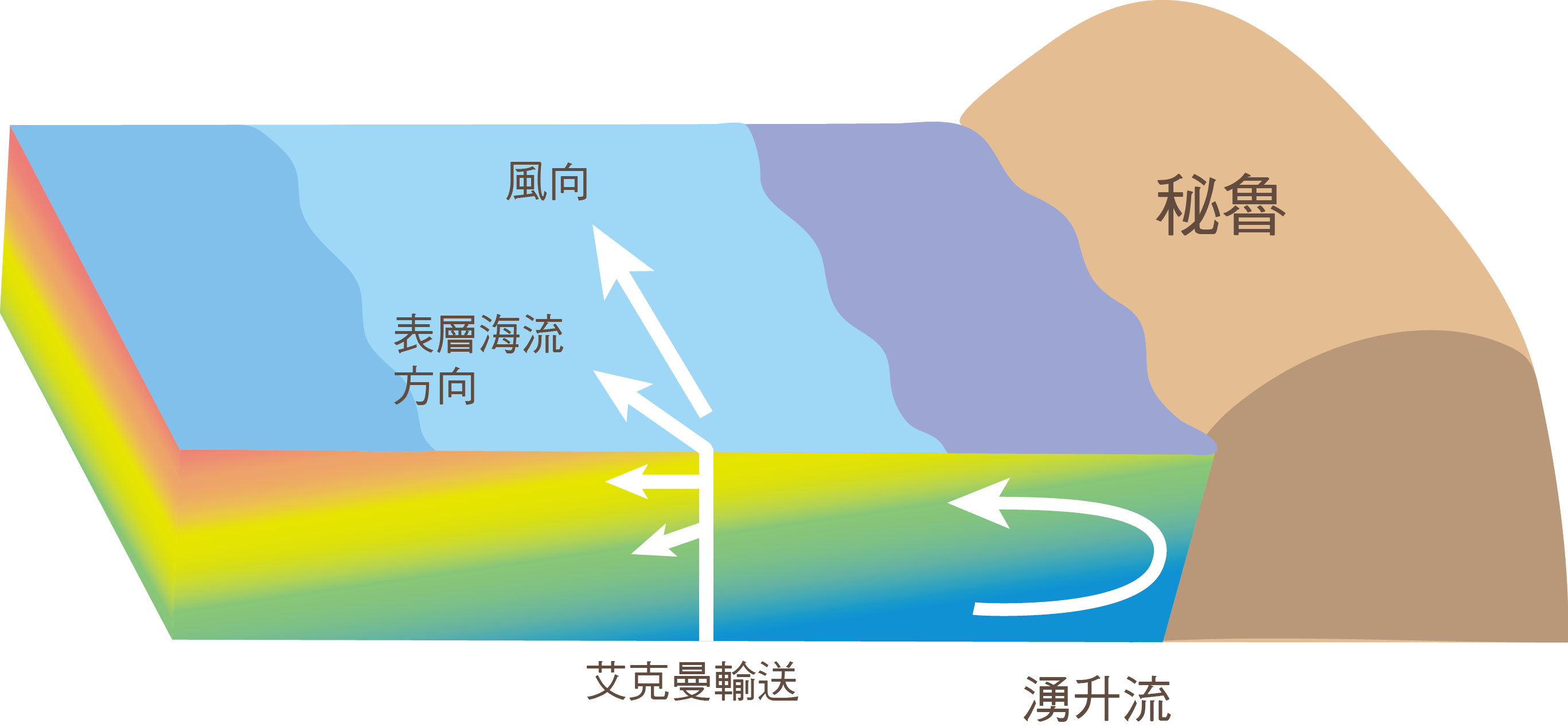 受到科氏力的影響，海流方向會偏轉（北半球偏右，南半球偏左），表層海水會帶動深層海水的偏轉，使得海水整體的流動方向與風的方向垂直。