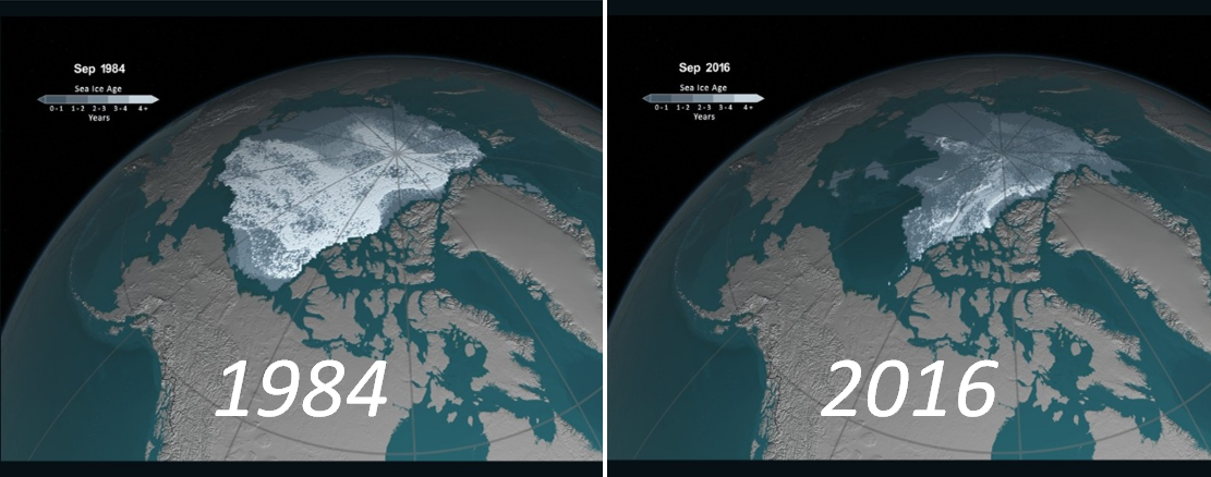 從NASA拍攝的北極融冰記錄，可見北極多年冰的覆蓋面積（白色區域）大幅縮小。