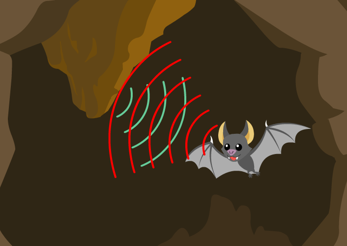 蝙蝠擁有良好的聲波系統，可透過飛行回波掌握周圍環境狀況，以免相撞