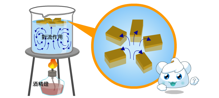 用酒精燈將裝著水與小木片的燒杯加熱，中央先被加熱的水會往上升，再往四周下降，形成水流循環，並帶動水面上的小木片移動。