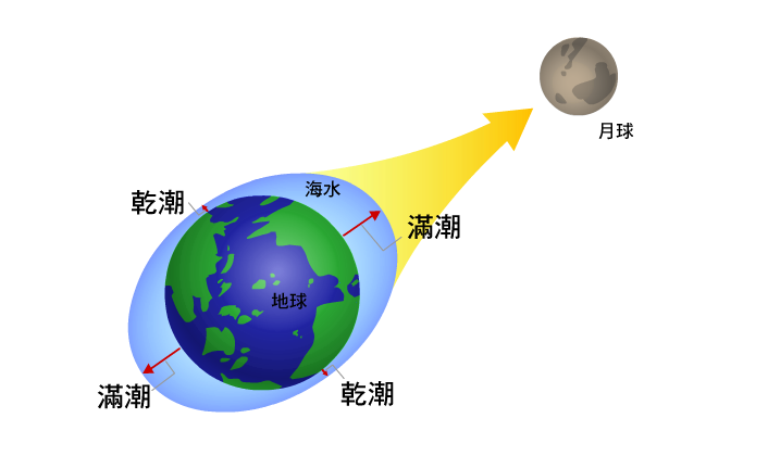 月球對地球的引力，引起海水的滿潮與乾潮
