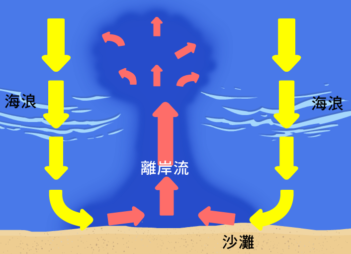 箭頭標示出左右兩邊的海浪往沙灘的方向移動，碰到沙灘後沿著沙灘方向聚集到中央，匯集成離岸流往海的方向流出去