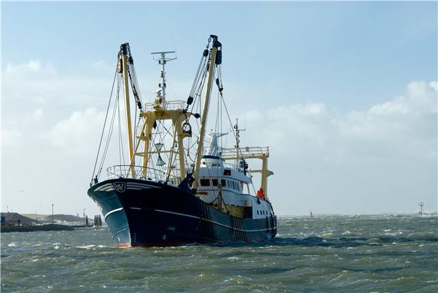 漁民出海捕魚都必須仰賴海象資訊，決定行船方向與投置漁網的位置