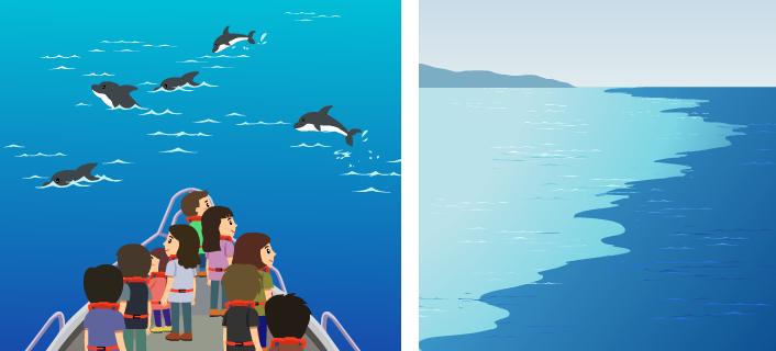 搭賞鯨船出海時，有時會發現眼前的海水分成了兩種顏色。