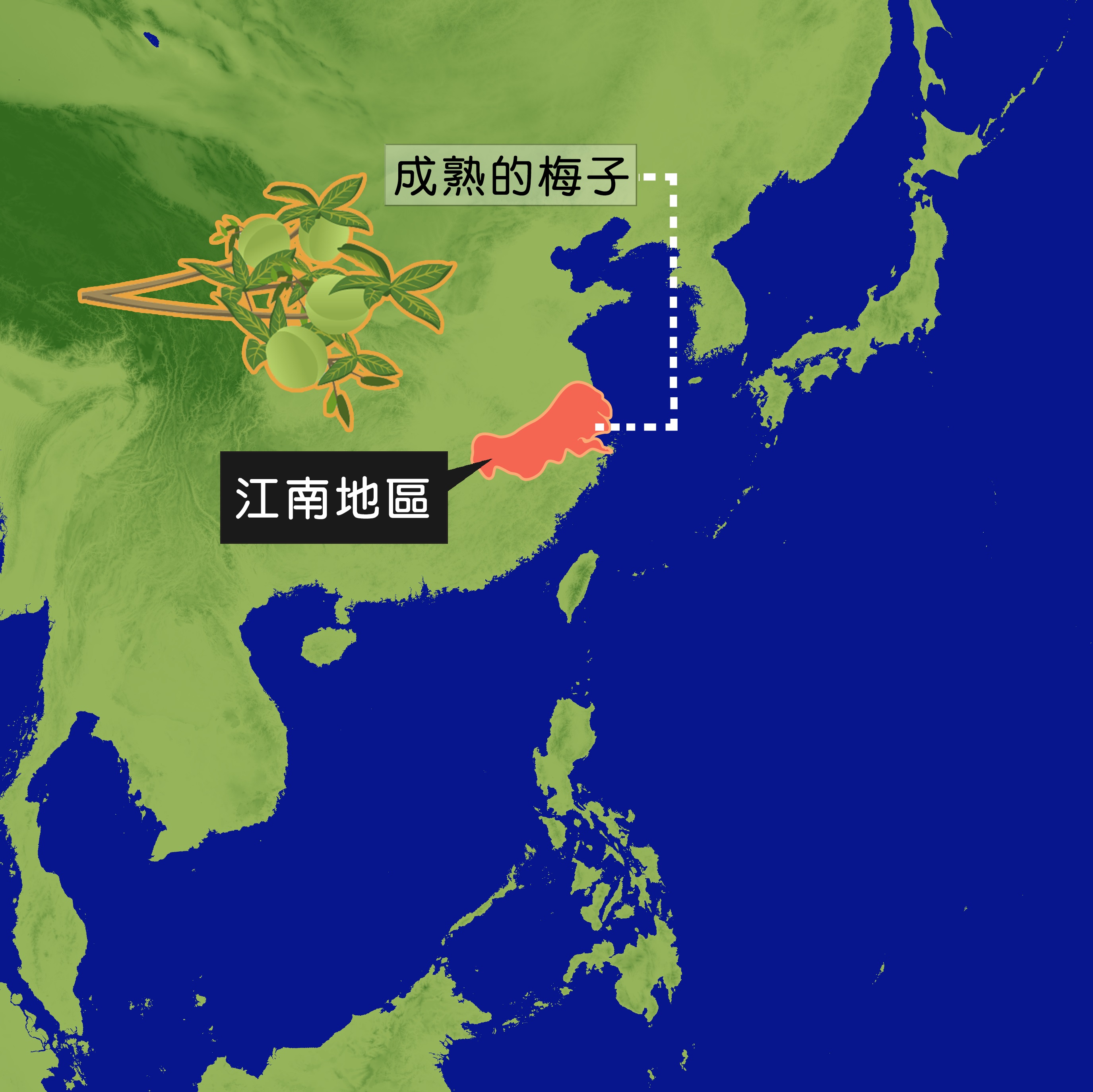 中國江南地區，在梅子成熟之際往往會遇上好幾個禮拜的間歇性對流雨，因此這類型的天氣被稱為梅雨